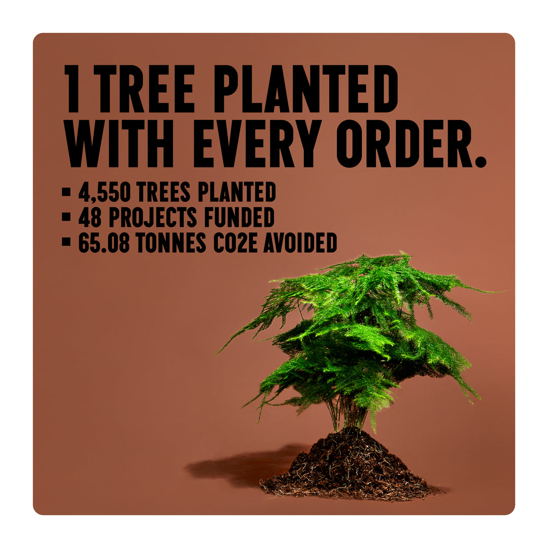 1 Tree planted with every order