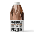 Chocolate Protein Milkshake