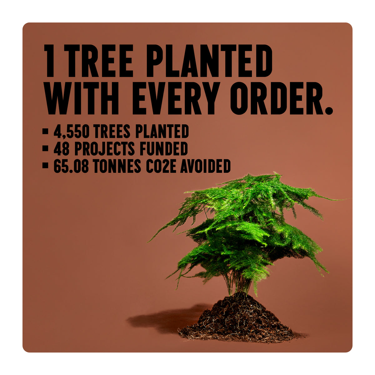 1 Tree planted with every order 
